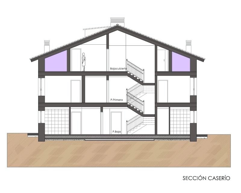 47 Viviendas vpo alojamientos dotacionales (Alava) 2011 plano seccion Arquitecto Vitoria Gasteiz